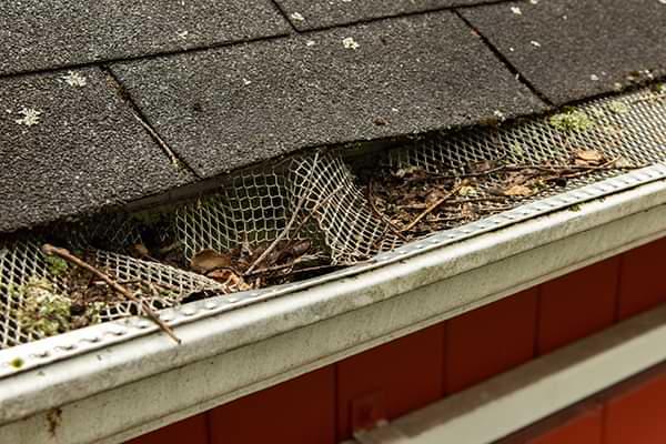 South Dakota clogged gutters