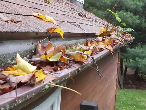 Greater Sioux Falls clogged gutters